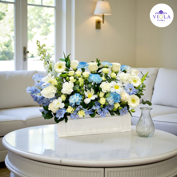 Skyline Grace 💙🌿 سكايلاين جريس 💙🌿