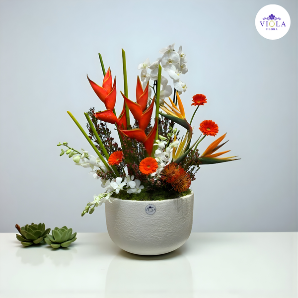 Tropical Elegance Arrangement تنسيق ”الأناقة الاستوائية“