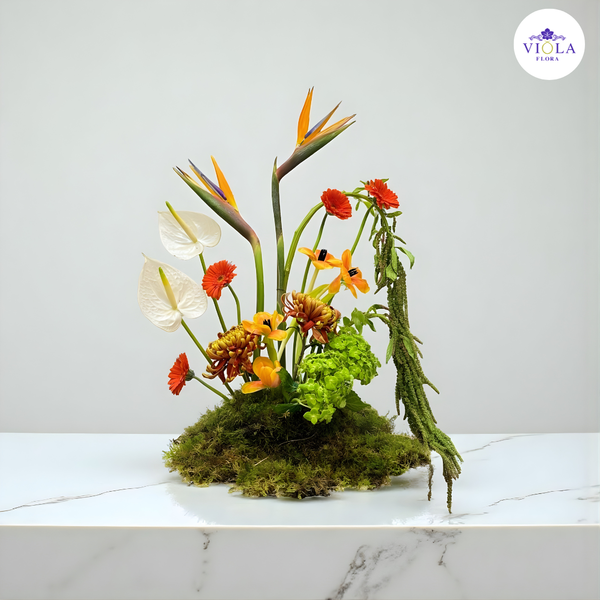 Tropical Sunset Garden حديقة الغروب الاستوائية