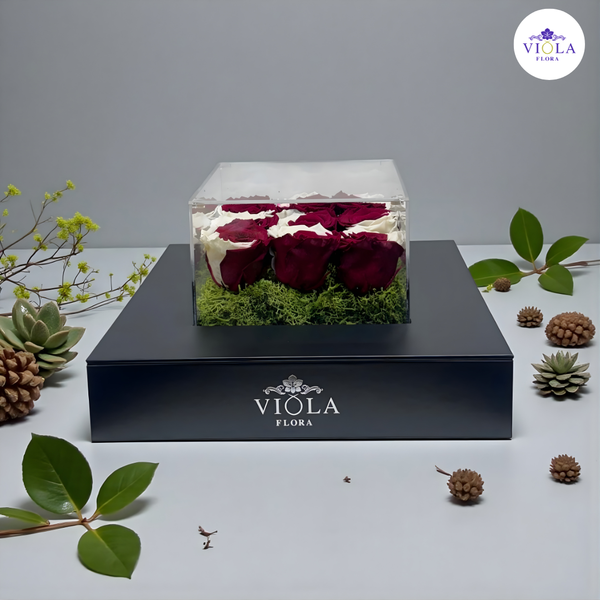 Velvet Jewel Box صندوق مجوهرات مخملي