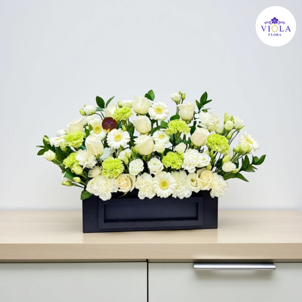 Pure Elegance أناقة خالصة