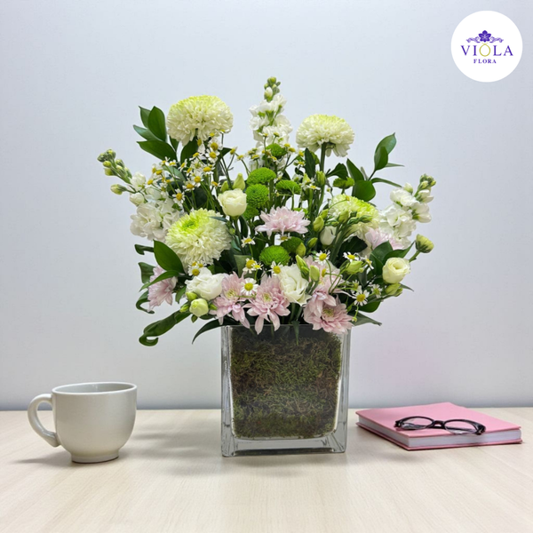Soft Morning Bliss 🌼✨ نعمة الصباح الناعمة🌼✨