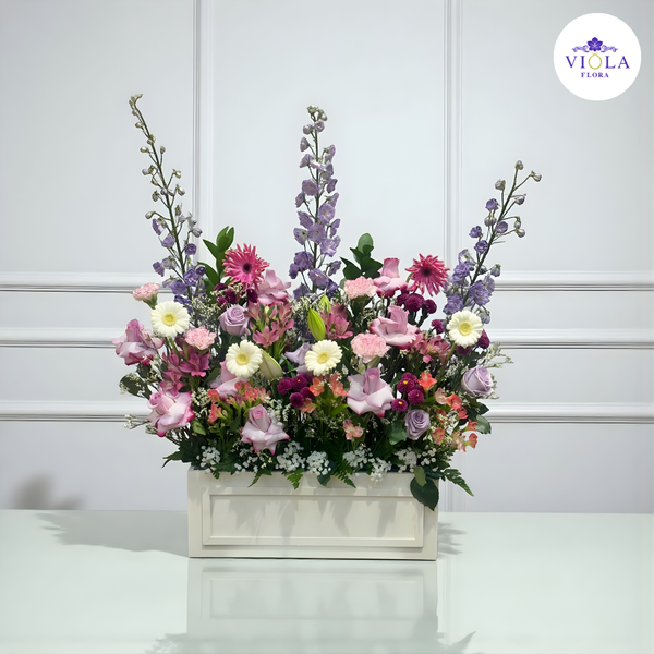 BloomAura بلوم أورا