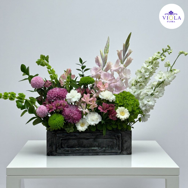 PetalAura بيتالاورا