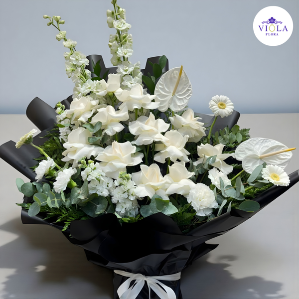 PureElegance بيورإليجانس