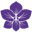 Viola Flora Qatar logo