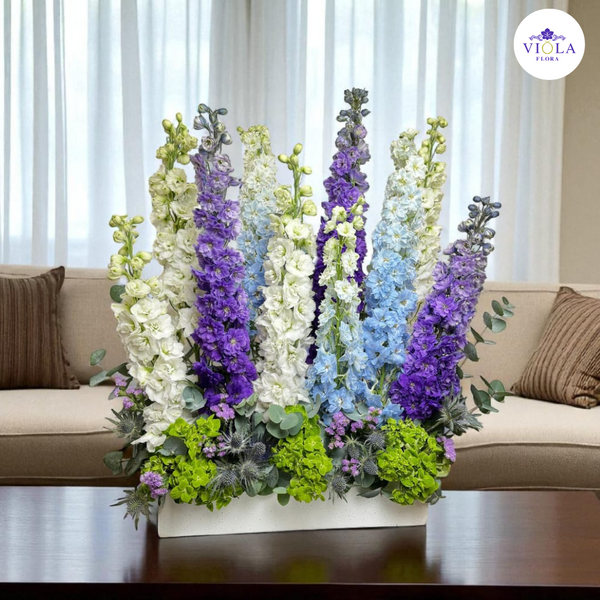 "Lavender Heights" "مرتفعات الخزامى"