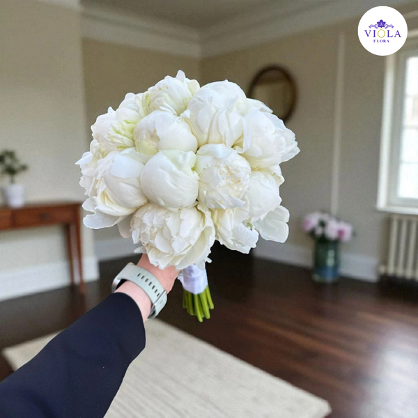 Pure Peony Elegance أناقة الفاوانيا النقية