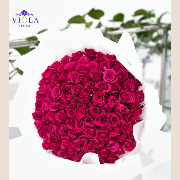 100 Fuchsia Gotcha Roses | Bold Luxury Bouquet by Viola Flora Qatar ...