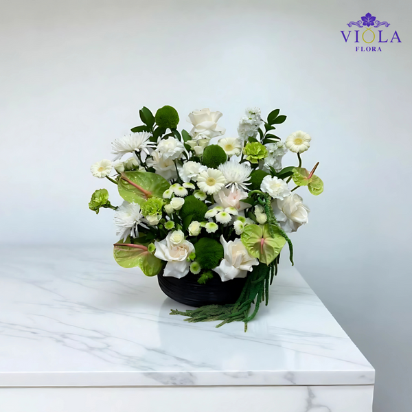 🤍 “Botanical Elegance” 🤍 ”أناقة نباتية“
